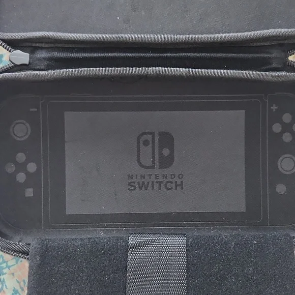 Nintendo Switch Case - Picture 4 of 4
